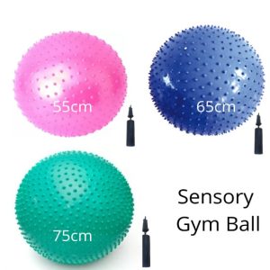 Sensory Ball 55cm, 65cm, 75 cm